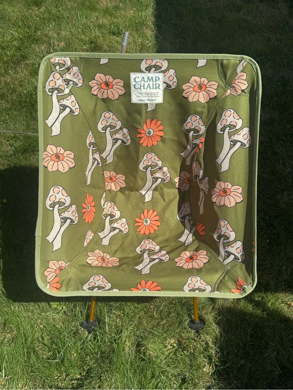 Set of 2 Parks Project Camping Chairs